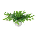ARTIFICIAL epipremnum including white pot