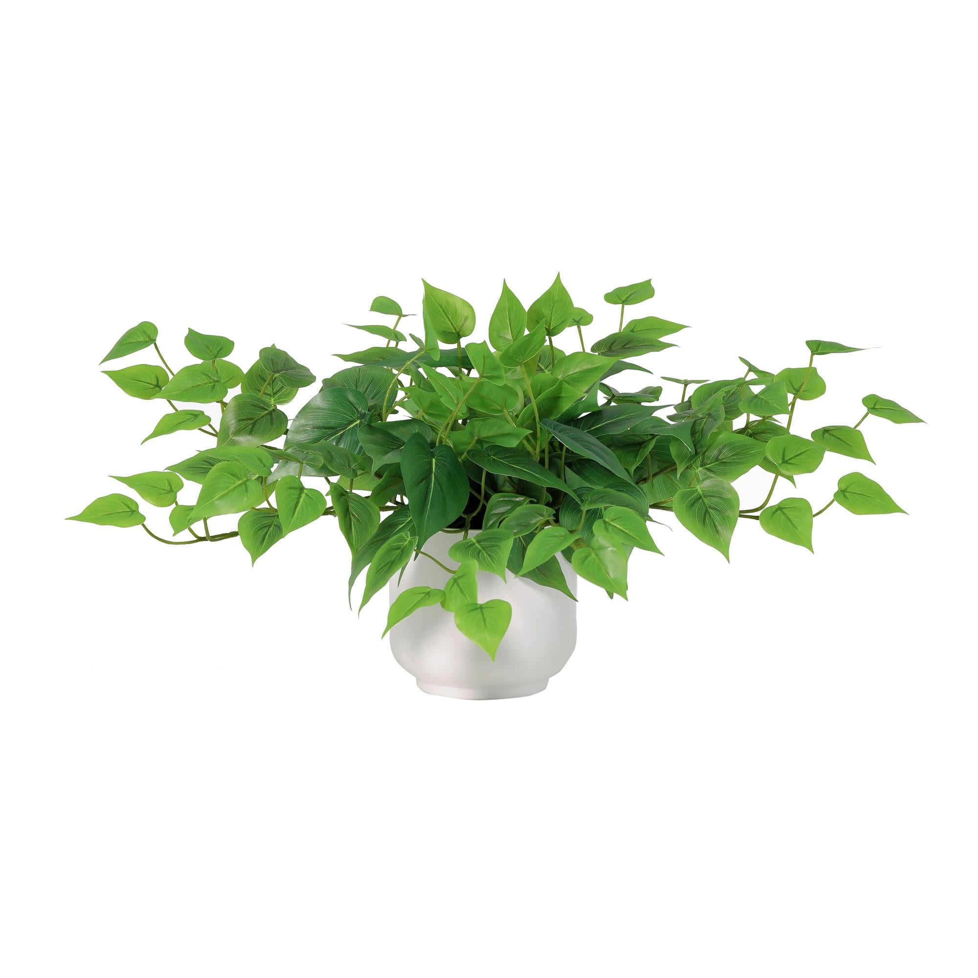 ARTIFICIAL epipremnum including white pot