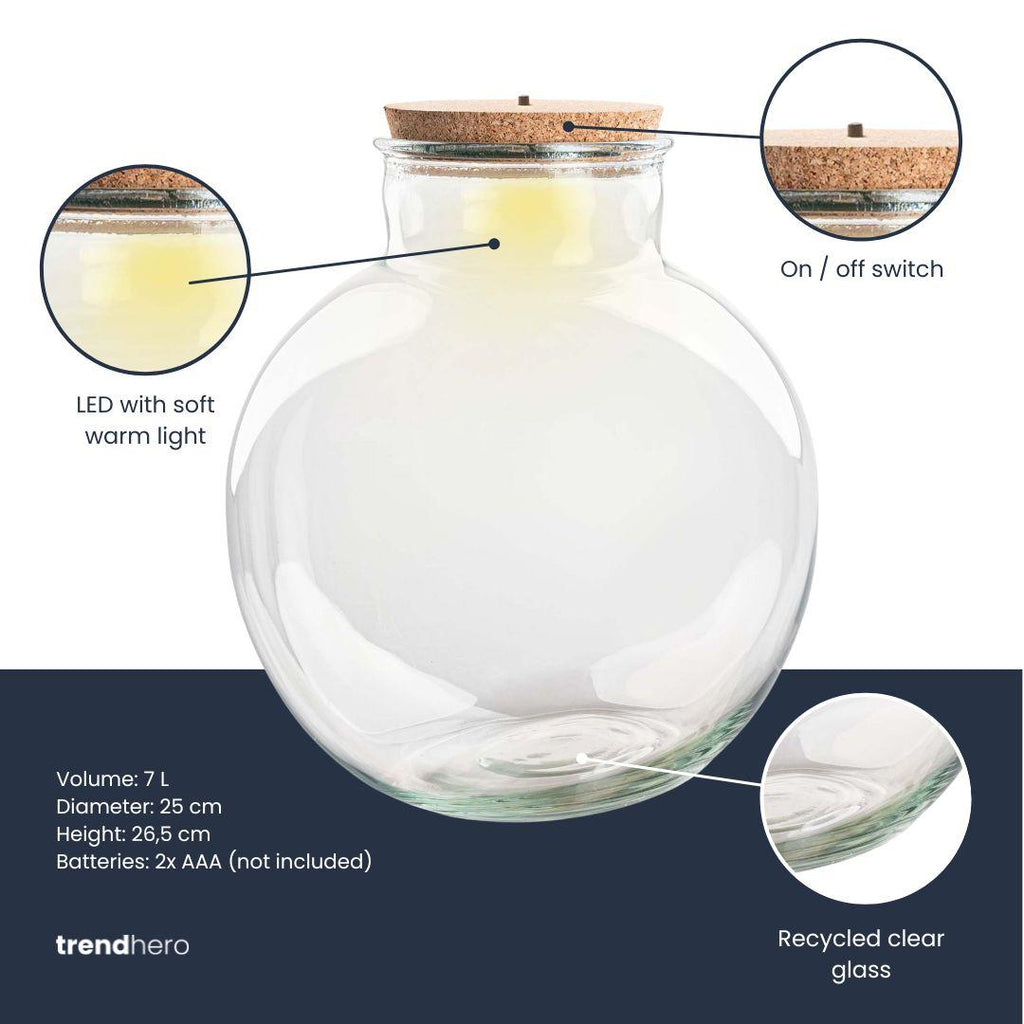 Terrarium fles (met) verlichting - Teddy - Ø 25 cm ↑ 26,5 cm - Met LED-kurk