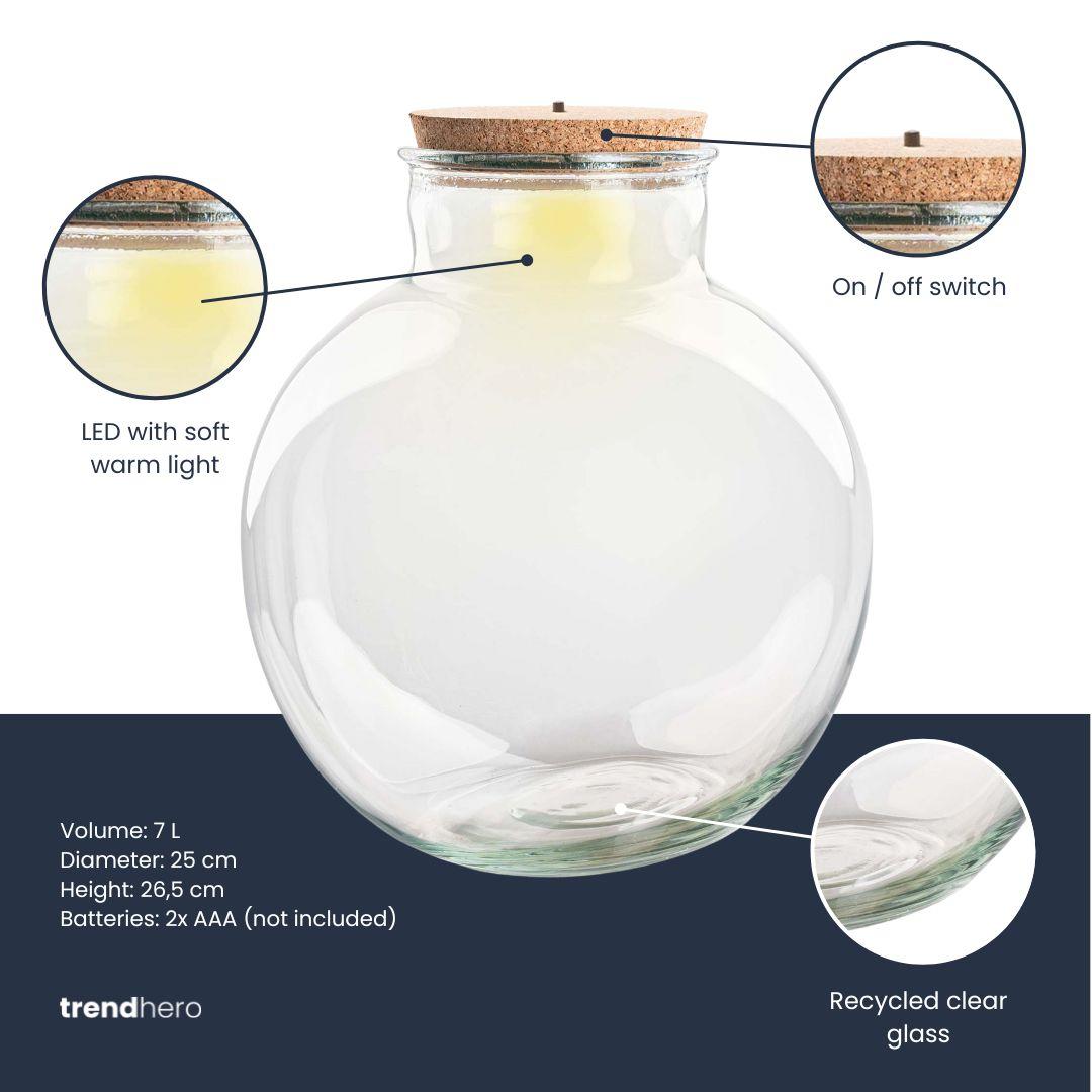 Terrarium fles (met) verlichting - Teddy - Ø 25 cm ↑ 26,5 cm - Met LED-kurk