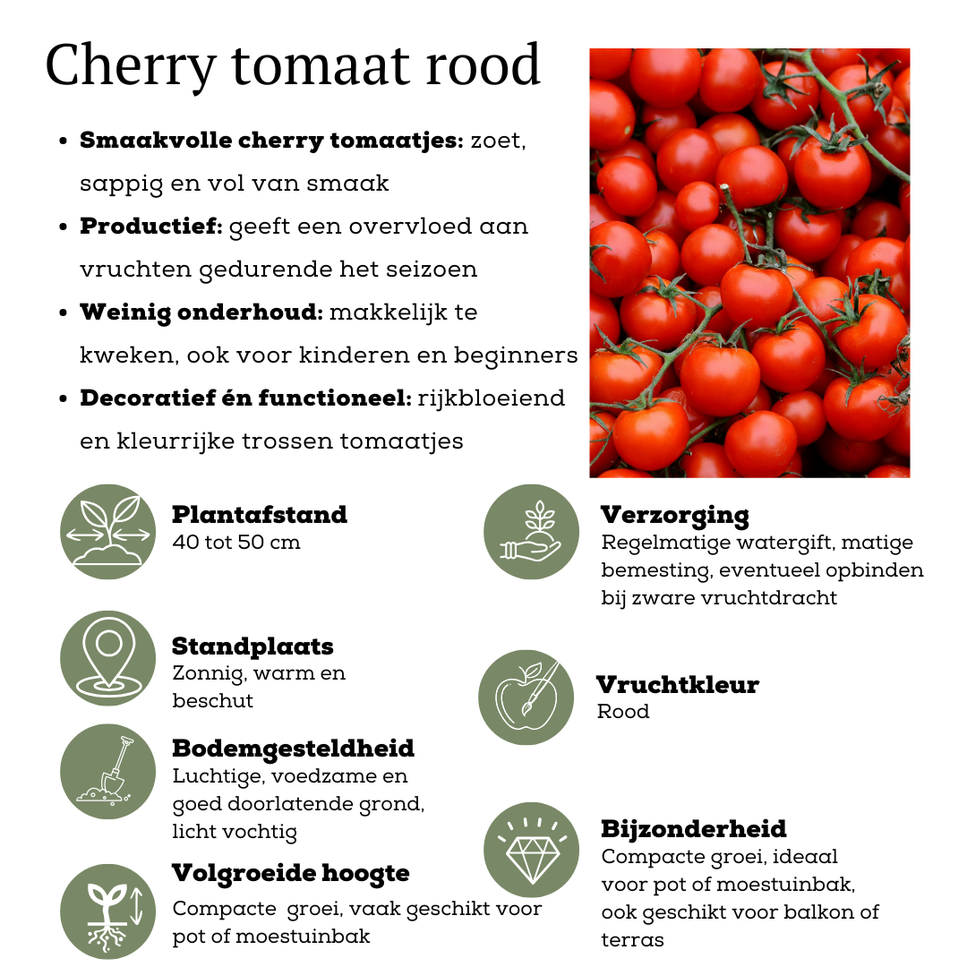 Rode plukgroente mix van 3 planten - Cherry tomaat - Rode snack paprika - Rode hete peper plant - Ø 14 cm - ↨ 45 cm