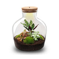 DIY Planten terrarium met licht - Fat Joe Red - Ø 29 cm ↑ 30 cm - No Tools