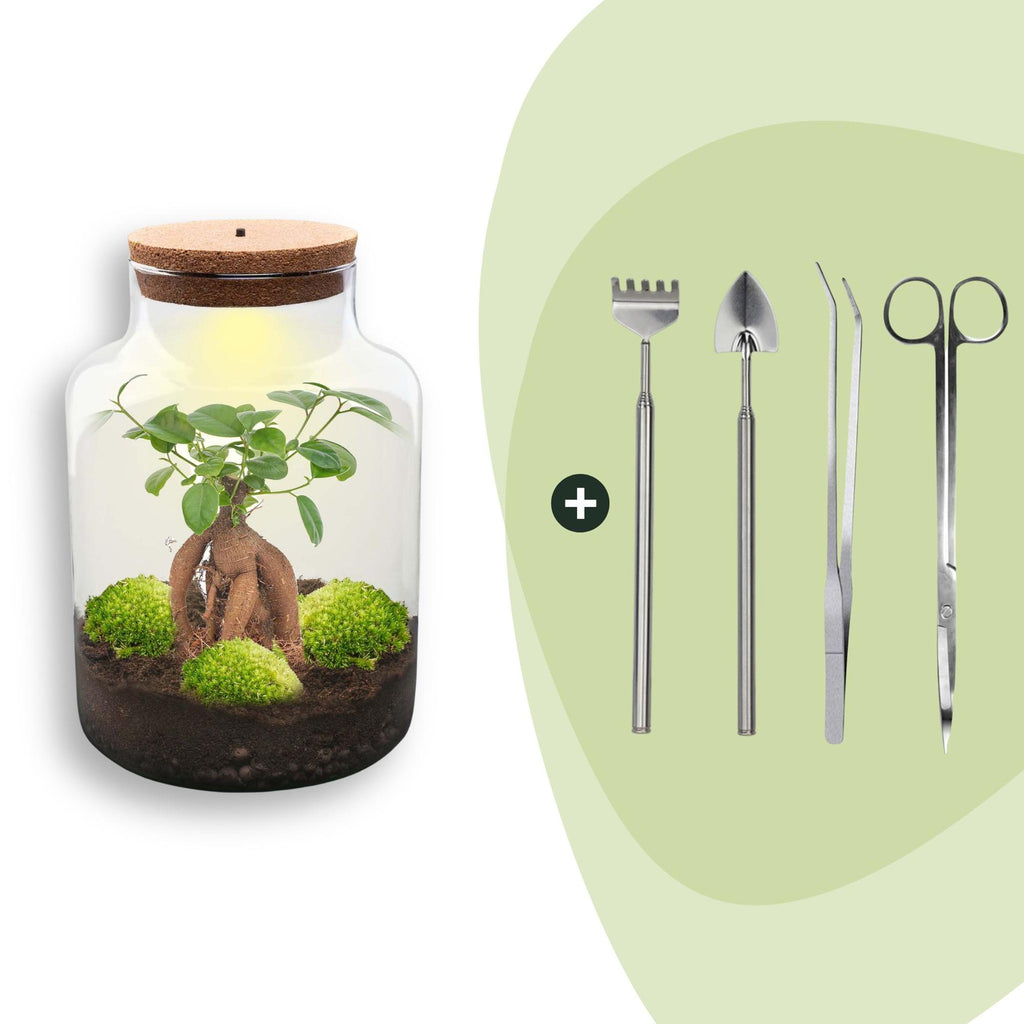 DIY Planten terrarium met licht - Milky Bonsai - Ø 21 cm ↑ 30 cm - Rake + Shovel + Tweezer + Scissors