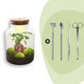 DIY Planten terrarium met licht - Milky Bonsai - Ø 21 cm ↑ 30 cm - Rake + Shovel + Tweezer + Scissors