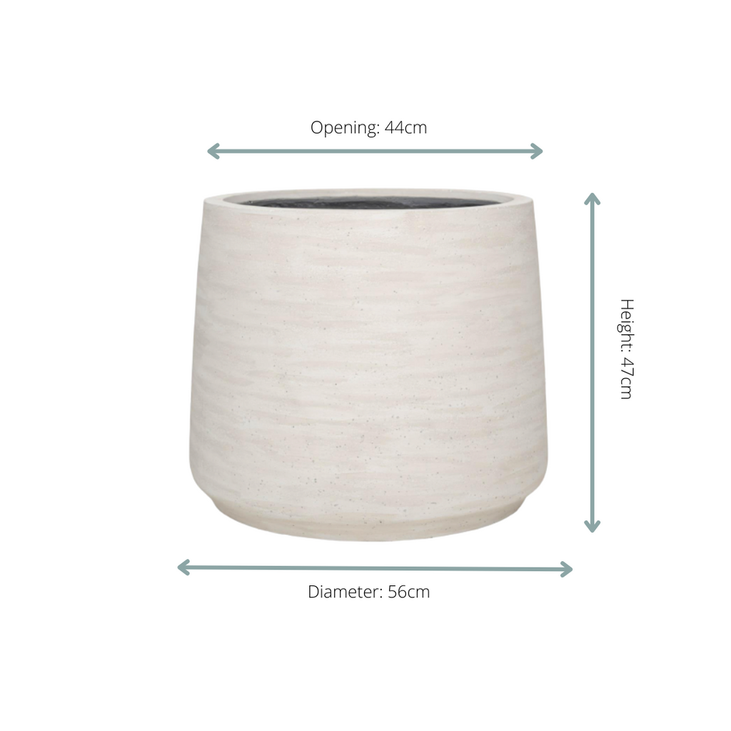 Jumbo Patt Ivory Washed - D56xH47