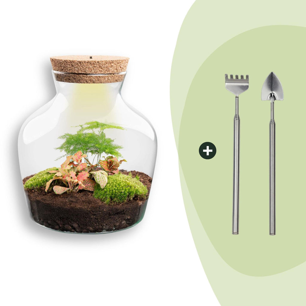 DIY terrarium - Little Joe met licht - ↕ 21,5 cm - Rake + Shovel