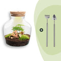 DIY terrarium - Little Joe met licht - ↕ 21,5 cm - Rake + Shovel