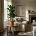 Kamerplant - Drakenbloedboom Janet Craig - Dracaena Janet Craig - Groen - Weinig onderhoud - 1 Plant - Pot 21cm - Hoogte 90 - 100cm