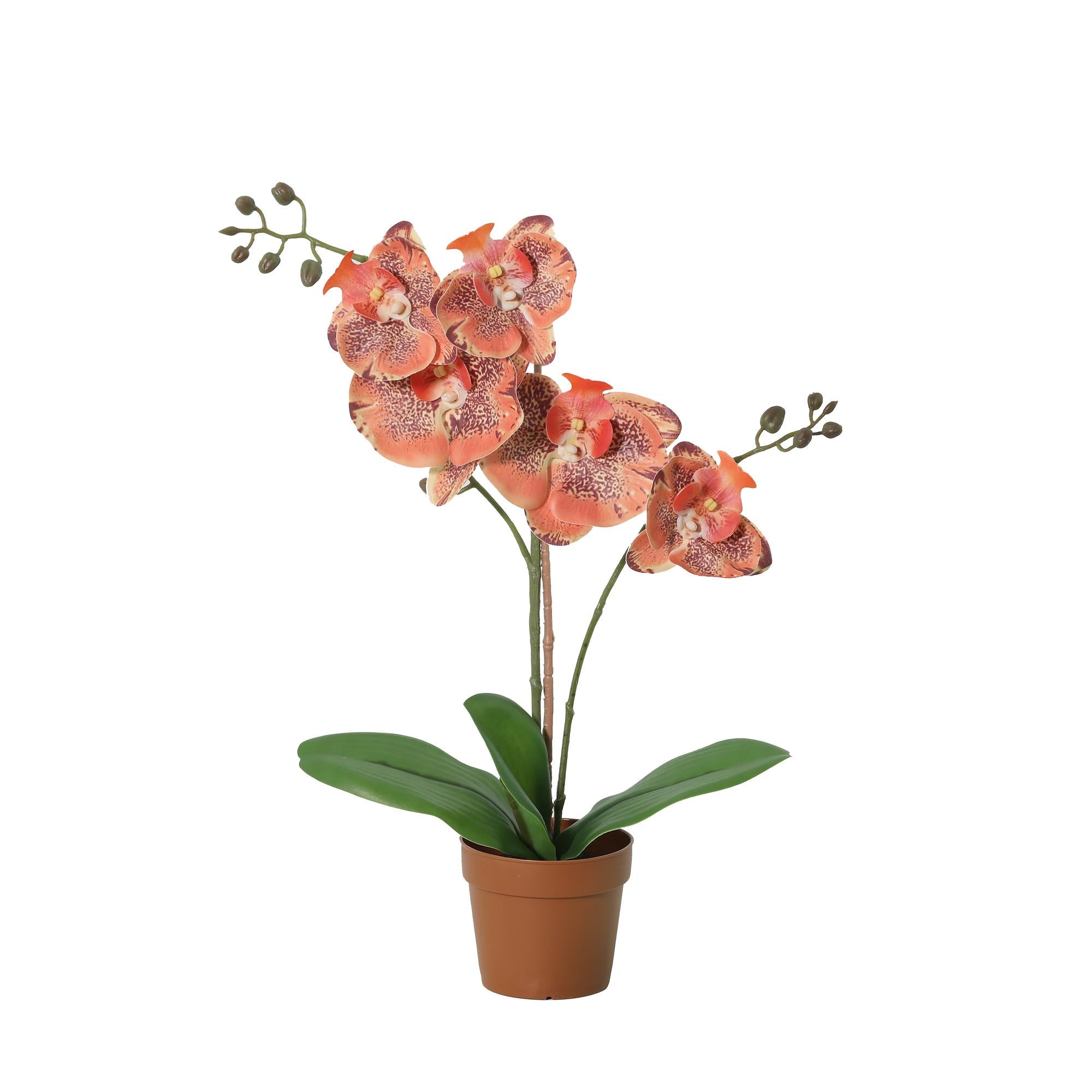 ARTIFICIAL Phalaenopsis orchid orange - 41cm