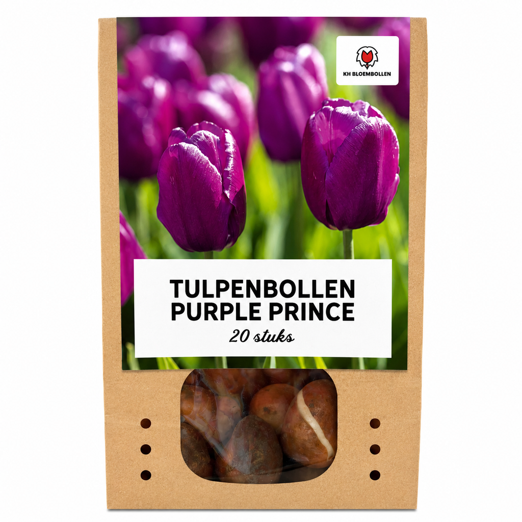 Tulpenbollen Purple Prince – 20 Stuks | KH Bloembollen® | Paars-Violet Tulp – Krachtig & Koninklijk – Voor Tuin of Pot – Maat 11/12 – Vers van de Teler