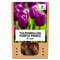 Tulpenbollen Purple Prince – 20 Stuks | KH Bloembollen® | Paars-Violet Tulp – Krachtig & Koninklijk – Voor Tuin of Pot – Maat 11/12 – Vers van de Teler