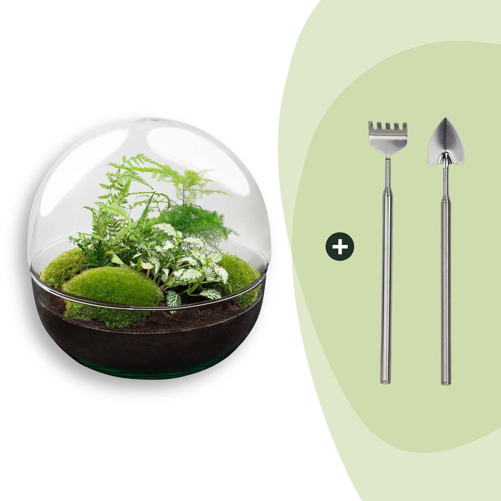 DIY Planten terrarium tweedelig bolglas - Dome XL -Ø 28 cm ↑ 28 cm - Rake + Shovel