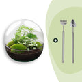 DIY Planten terrarium tweedelig bolglas - Dome XL -Ø 28 cm ↑ 28 cm - Rake + Shovel