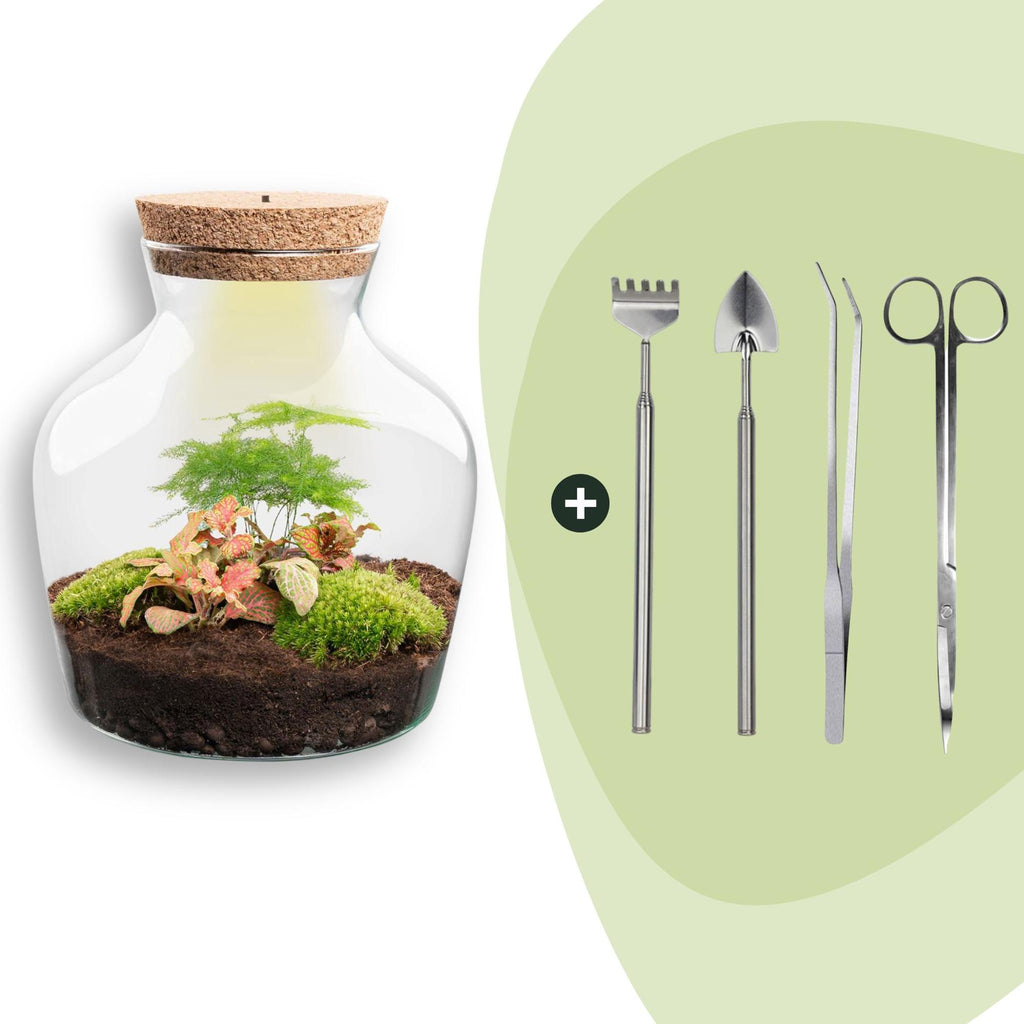 DIY terrarium - Little Joe met licht - ↕ 21,5 cm - Rake + Shovel + Tweezer + Scissors