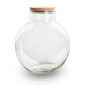 Terrarium fles met (LED) kurk - Bolder Bob - Ø 30 cm ↑ 31 cm - Zonder LED-kurk