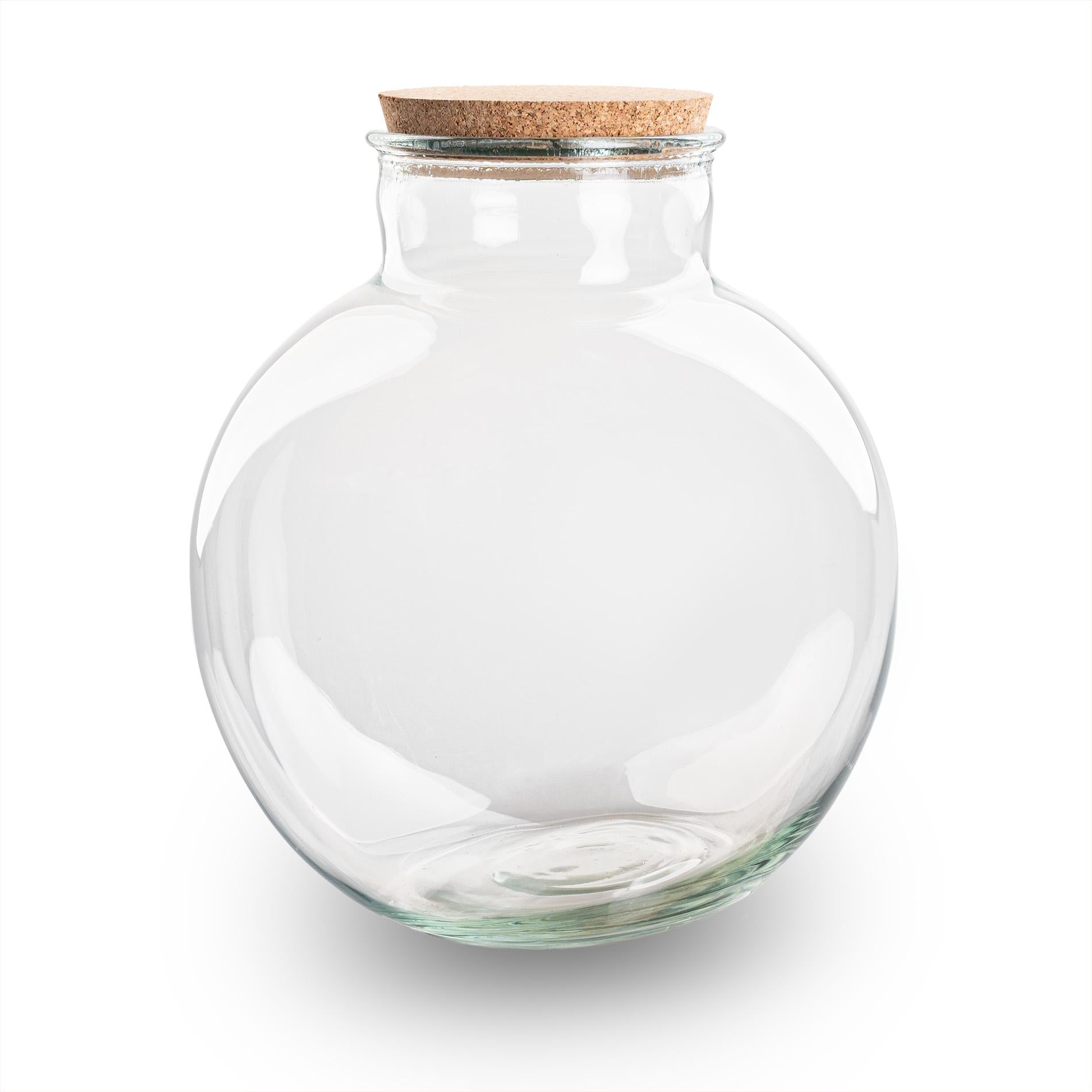 Terrarium fles met (LED) kurk - Bolder Bob - Ø 30 cm ↑ 31 cm - Zonder LED-kurk