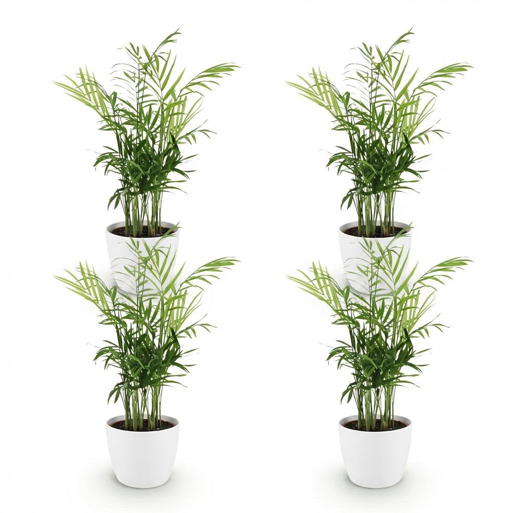 Kamerplant - Chamaedorea elegans - Goudpalm - Huisdiervriendelijke Plant - Groen - 4 Planten - met Potter Wit - Pot 12cm - Hoogte 15cm