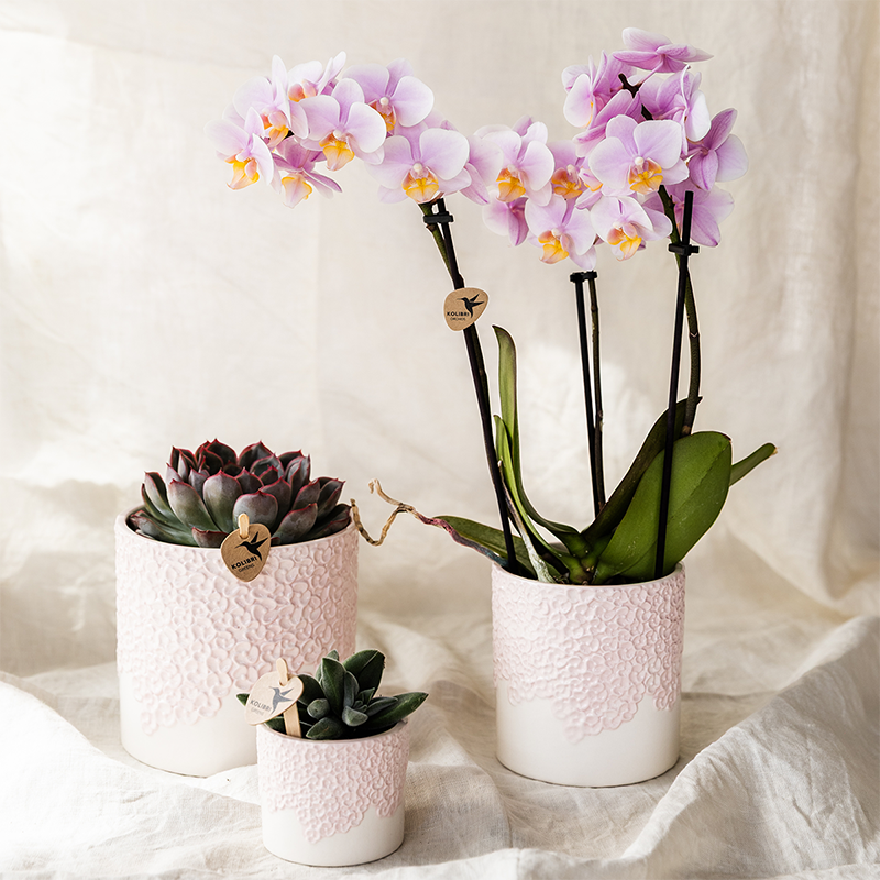 Kolibri Home | Bloom sierpot - Pink - Ø12cm
