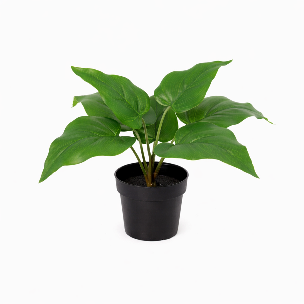 ARTIFICIAL Philodendron Imperial Green - 25cm
