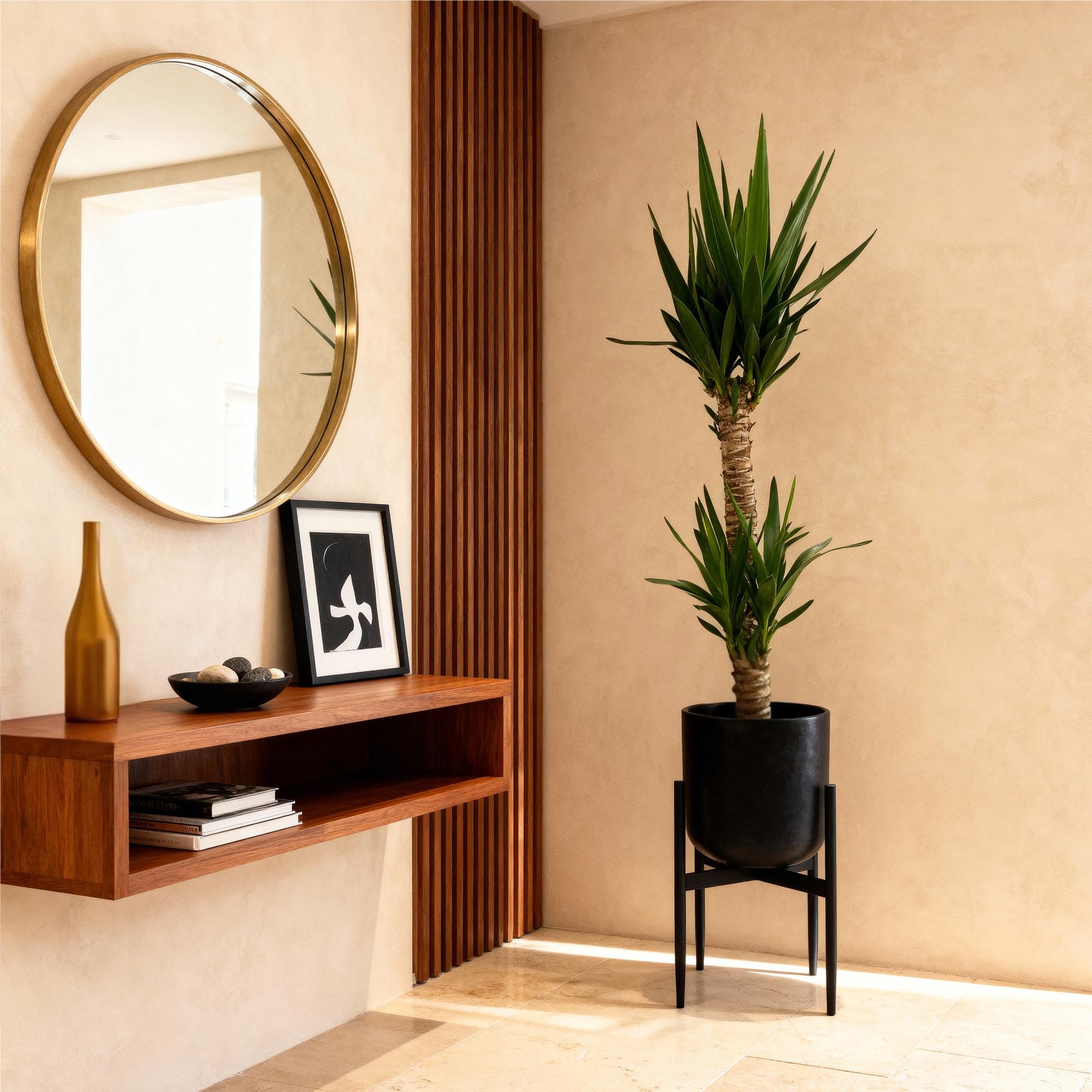 Kamerplant - Yucca elephantipes - Yucca - Weinig onderhoud - Groen - 1 - Pot 19cm - Hoogte 95cm