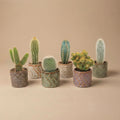 Cactus Set van 6 in Keramische Mini Potjes Madrid -  ↑ 8–12 cm
