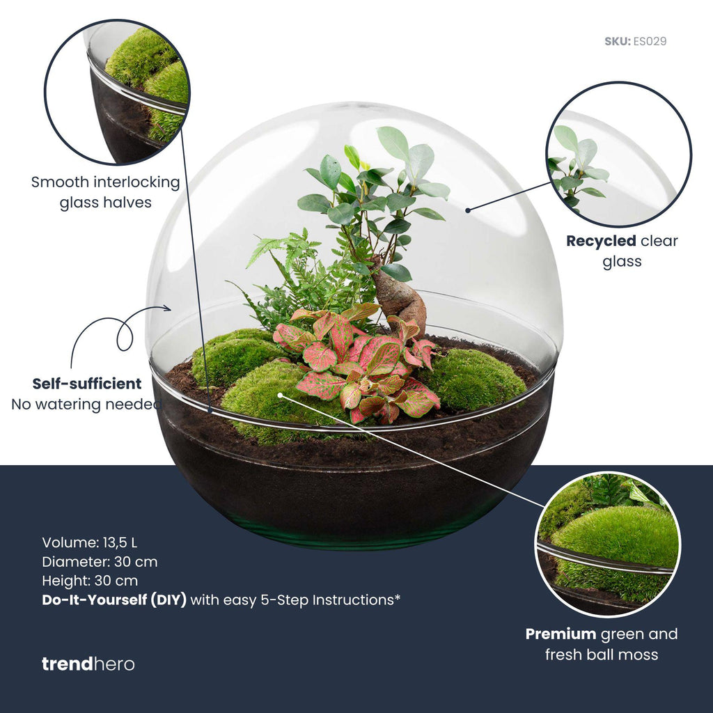 DIY Planten terrarium tweedelig bolglas - Dome XL Bonsai - Ø 28 cm ↑ 28 cm - Rake + Shovel + Tweezer + Scissors