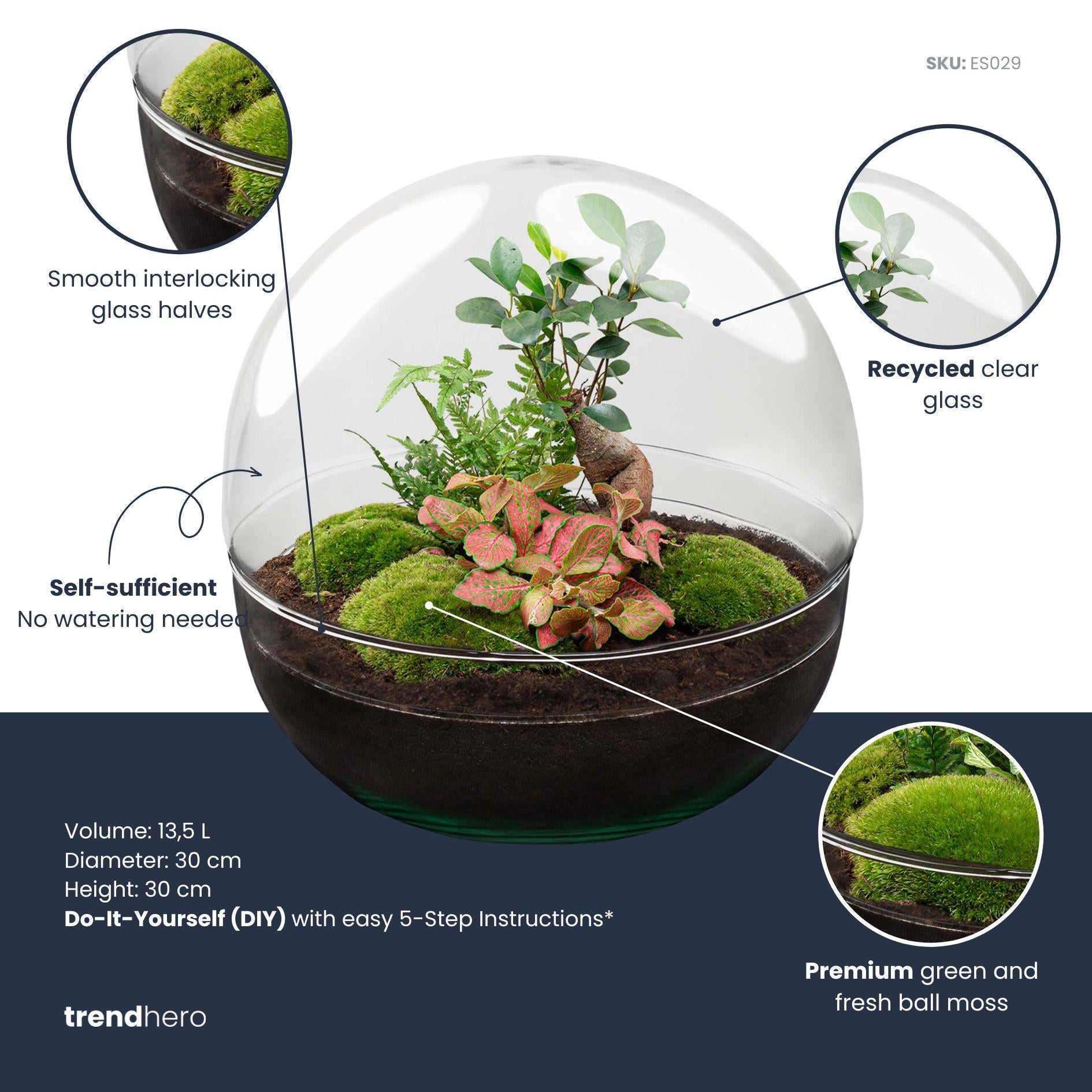 DIY Planten terrarium tweedelig bolglas - Dome XL Bonsai - Ø 28 cm ↑ 28 cm - Rake + Shovel + Tweezer + Scissors