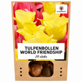 Tulpenbollen World Friendship – 20 Stuks | KH Bloembollen® | Lichtgele Tulp – Zacht, Vriendelijk & Elegant – Voor Tuin of Pot – Maat 11/12 – Vers van de Teler