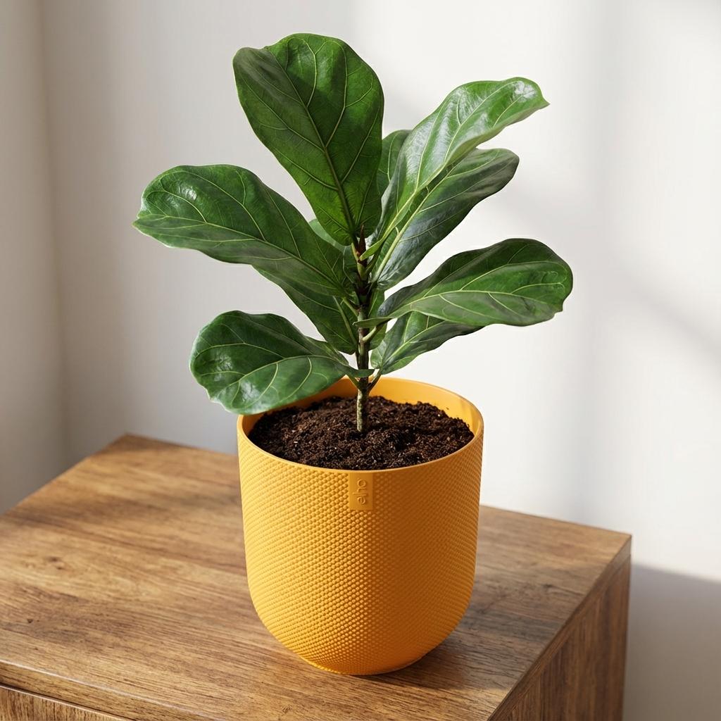 Pot Elho Jazz Round Amber Yellow - D23