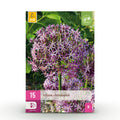 Bloembollen - Allium Christophii - Kleur Paars - 15 stuks - Bolmaat 10/2 - XXL Pack