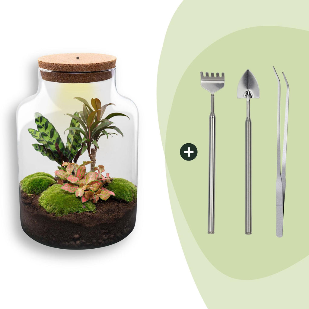 DIY Planten terrarium met licht - Milky - Ø 21 cm ↑ 30 cm - Rake + Shovel + Tweezer