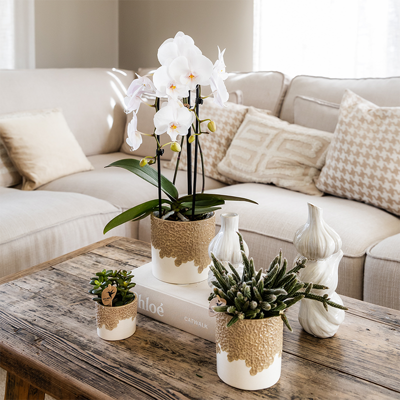 Kolibri Home | Bloom sierpot - Sand - Ø12cm