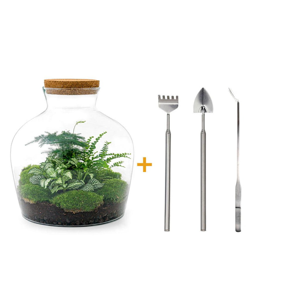 DIY Planten terrarium met licht - Fat Joe Green - Ø 29 cm ↑ 30 cm - Rake + Shovel + Tweezer