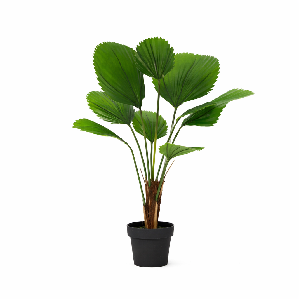 ARTIFICIAL Licuala Grandis - 104cm