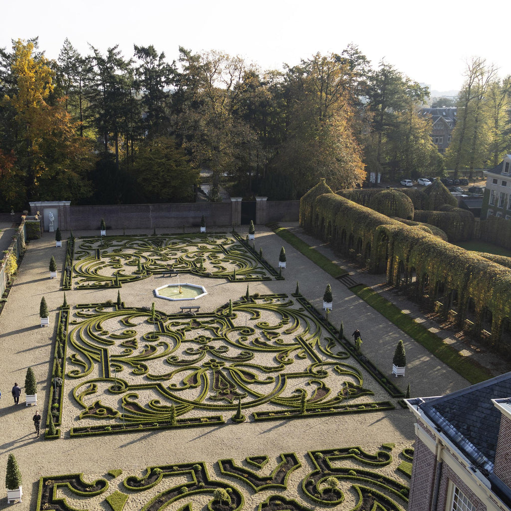 Buxus Haag - BetterBuxus Babylon Beauty - Resistant tegen de Buxus Schimmel - 7 planten - 1 strekkende meter - pot 10,5cm hoogte 25-30