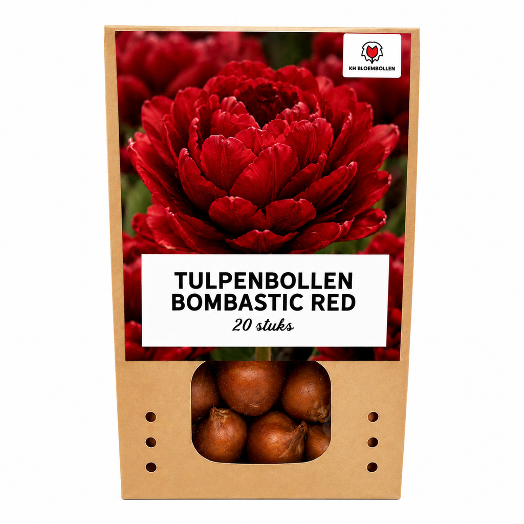 Tulpenbollen Bombastic Red – 20 Stuks | KH Bloembollen® | Rode Pioentulp – Dubbelbloemig & Luxe – Voor Tuin of Pot – Maat 11/12 – Vers van de Teler!