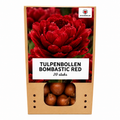 Tulpenbollen Bombastic Red – 20 Stuks | KH Bloembollen® | Rode Pioentulp – Dubbelbloemig & Luxe – Voor Tuin of Pot – Maat 11/12 – Vers van de Teler!