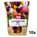 10 zakjes tulpenbollen Mix - 20 Stuks - Winterhard - Maat 11/12