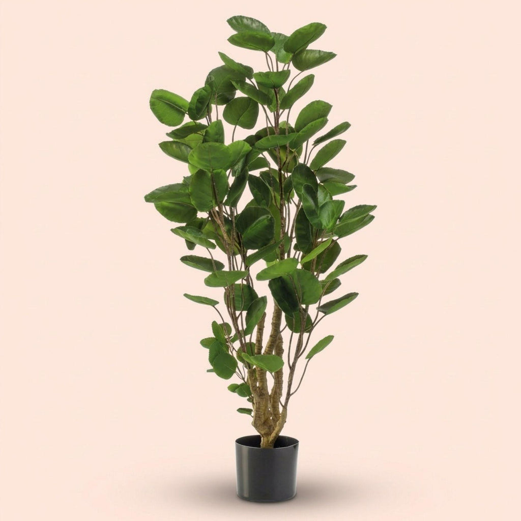 Polyscias boom - 105 cm - Kunstplant