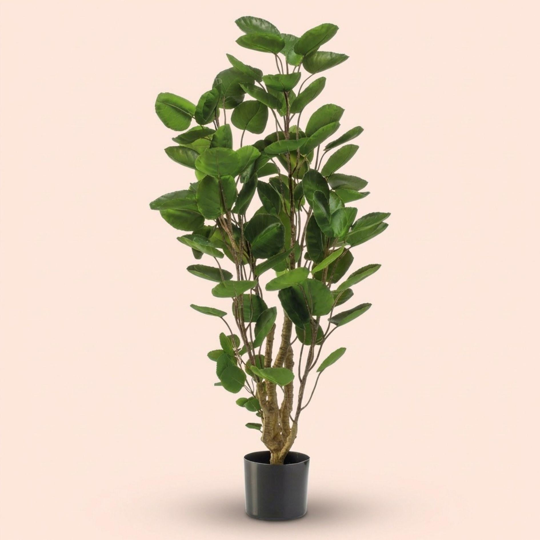 Polyscias boom - 105 cm - Kunstplant