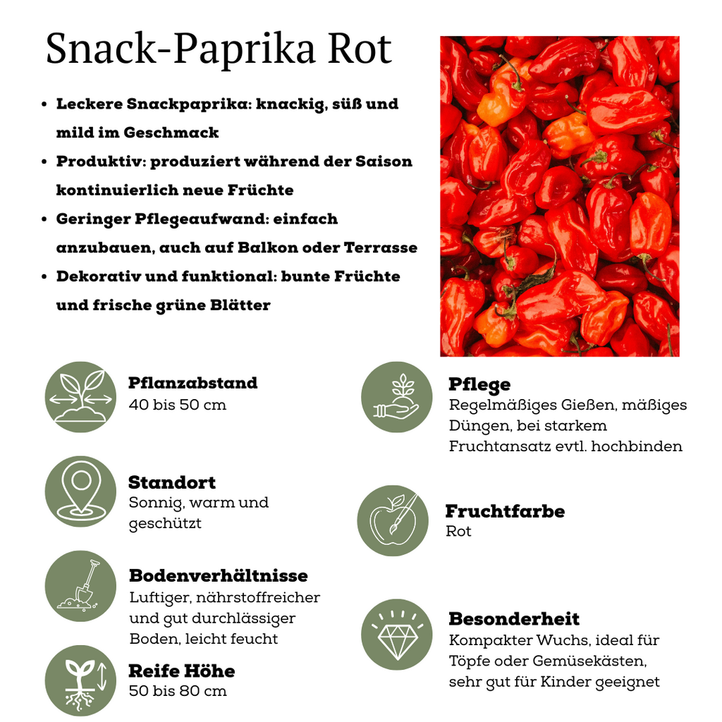 Rode plukgroente mix van 3 planten - Cherry tomaat - Rode snack paprika - Rode hete peper plant - Ø 14 cm - ↨ 45 cm