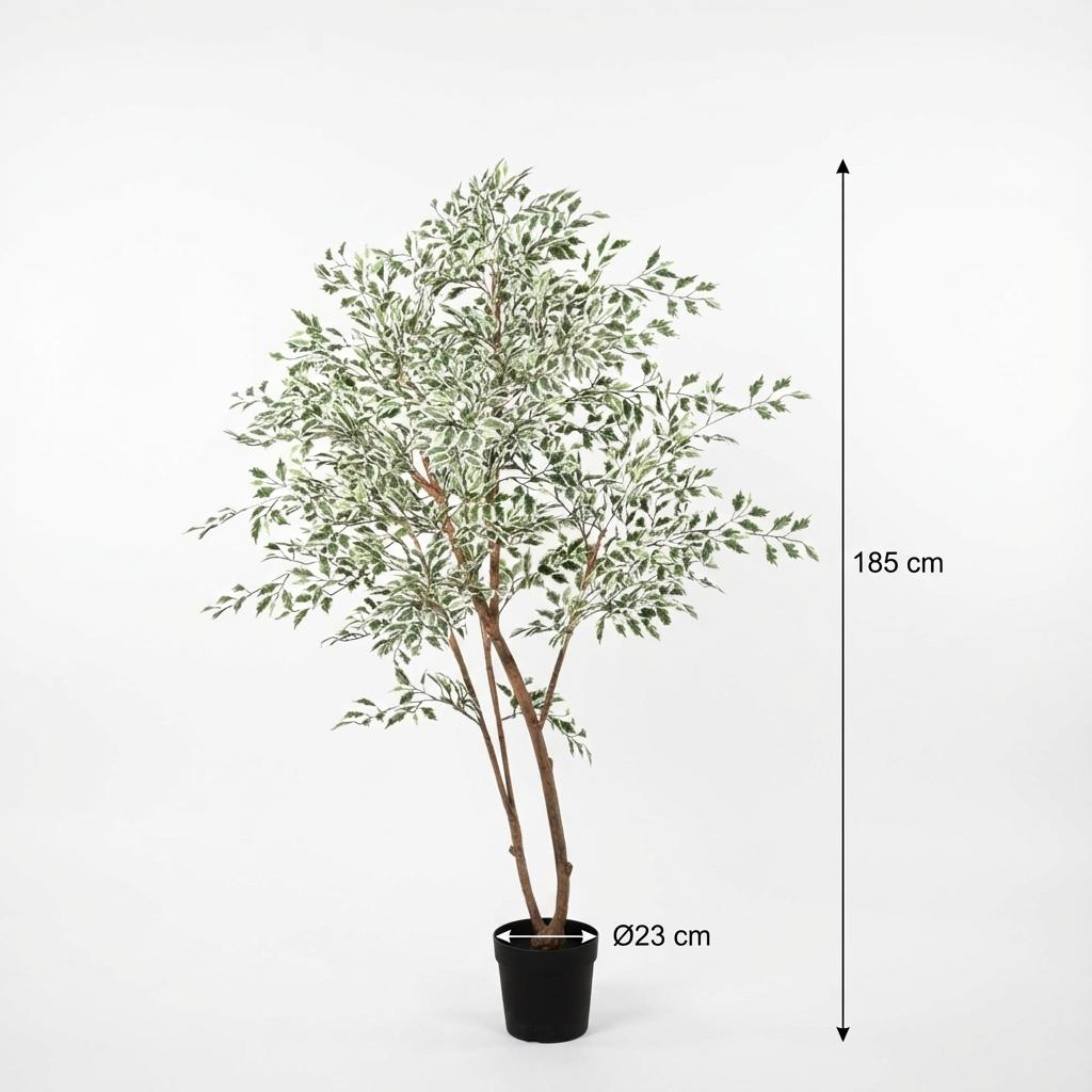ARTIFICIAL Ficus benjamina variegata - 185cm