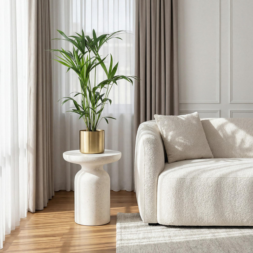 Kamerplant - Howea Forsteriana - Kentia Palm - Weinig Onderhoud - Groen - 1 plant - Pot 19cm - Hoogte 80-85cm