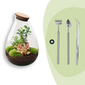 DIY Planten terrarium - Drop XL Bonsai 'red' - Ø 24 cm ↑ 37 cm - Rake + Shovel + Tweezer