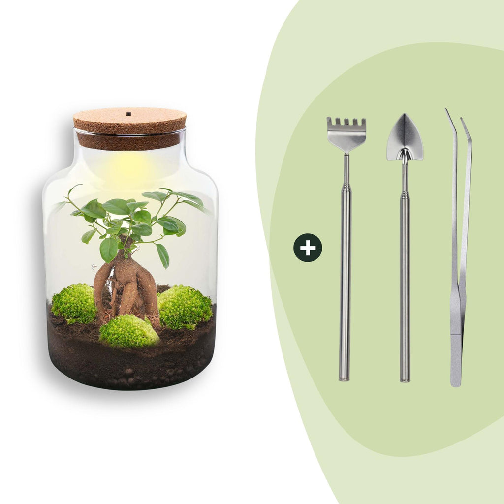 DIY Planten terrarium met licht - Milky Bonsai - Ø 21 cm ↑ 30 cm - Rake + Shovel + Tweezer
