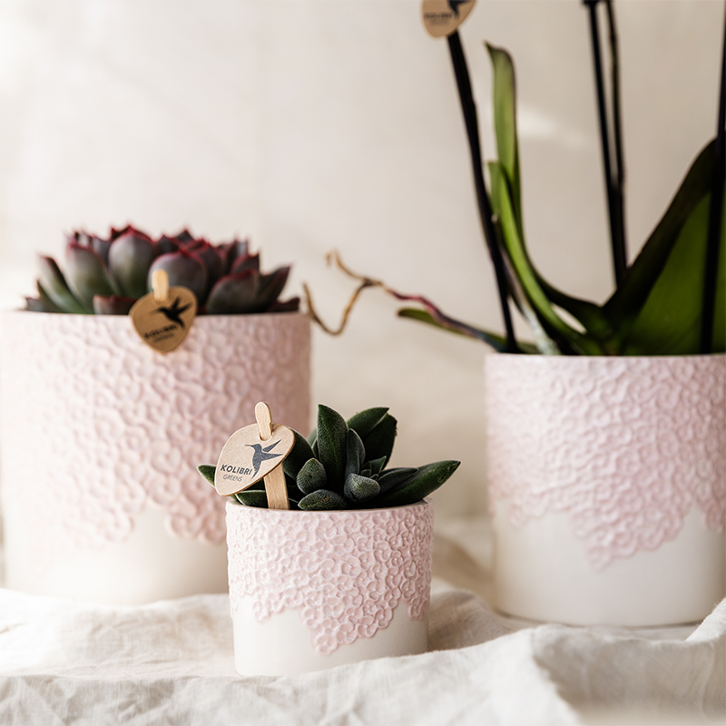 Kolibri Home | Bloom sierpot - Pink - Ø12cm