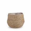 Mand Jorck bruin D26
