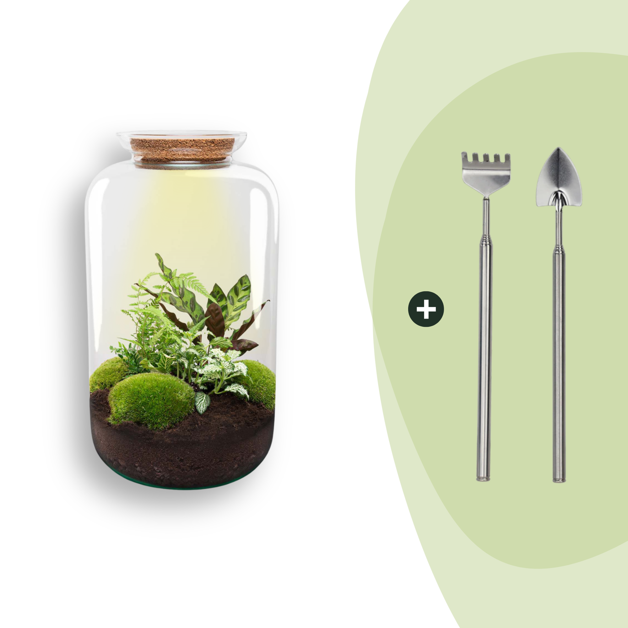 DIY Planten terrarium met licht - Sven XL Botanical - Ø 23 cm ↑ 43 cm - Rake + Shovel
