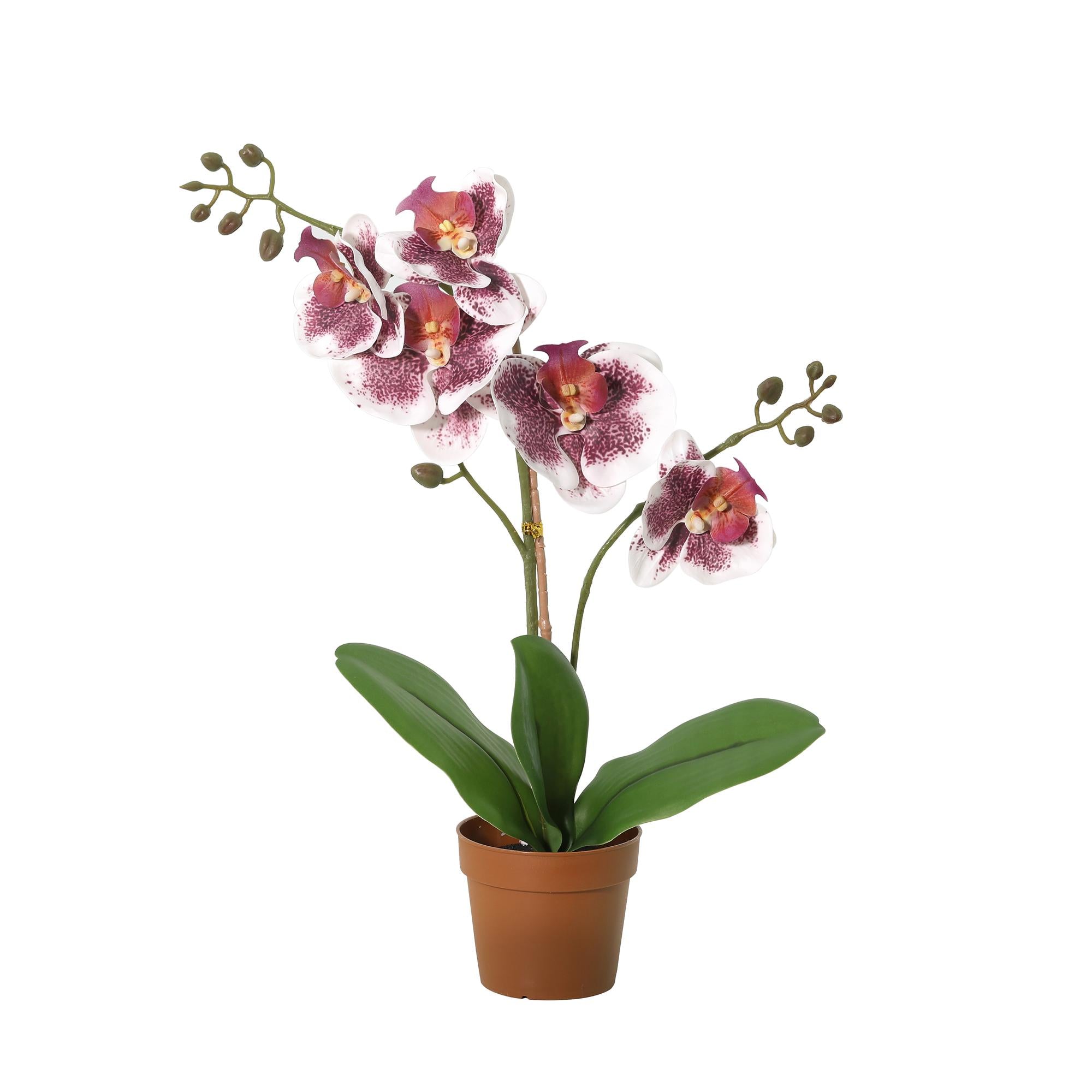 ARTIFICIAL Phalaenopsis orchid violet white - 41cm