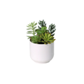 ARTIFICIAL Succelent including white pot - 19cm
